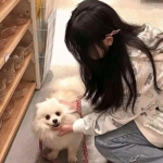 4399全民海战手机版下载